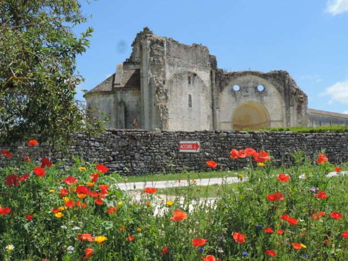 Jardin médiéval et ses coquelicots vue sur l'abbaye de Trizay