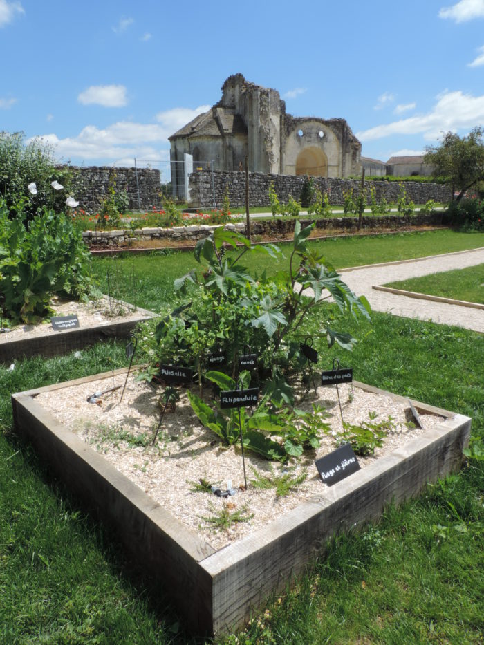 Jardin médiéval de l'abbaye plantes médicinales