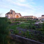 rendez-vous aux jardins 2020 dimanche 7 juin abbaye de Trizay jardin médiéval