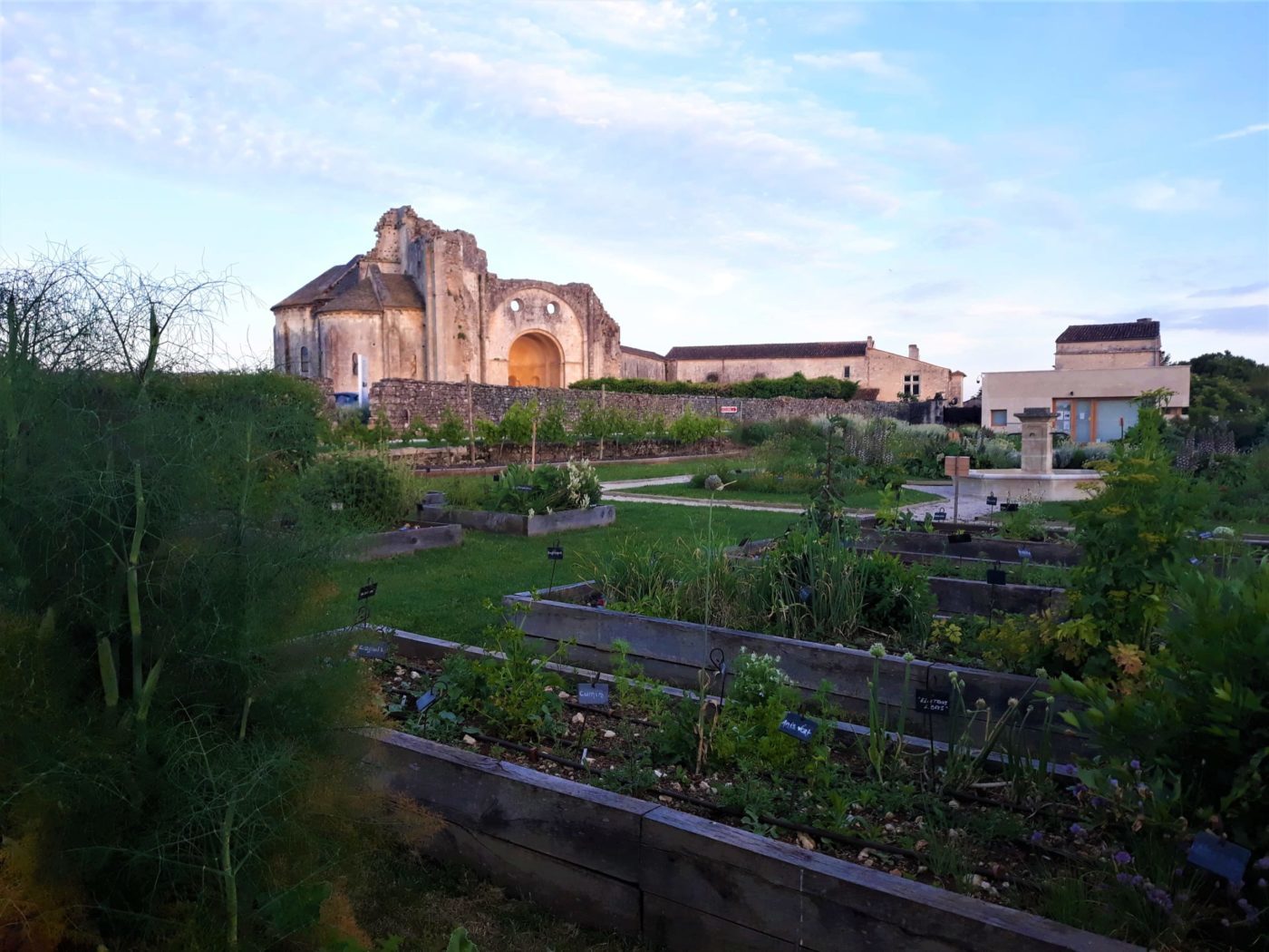 rendez-vous aux jardins 2020 dimanche 7 juin abbaye de Trizay jardin médiéval