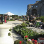 Abbaye de Trizay fête du végétal plantes1